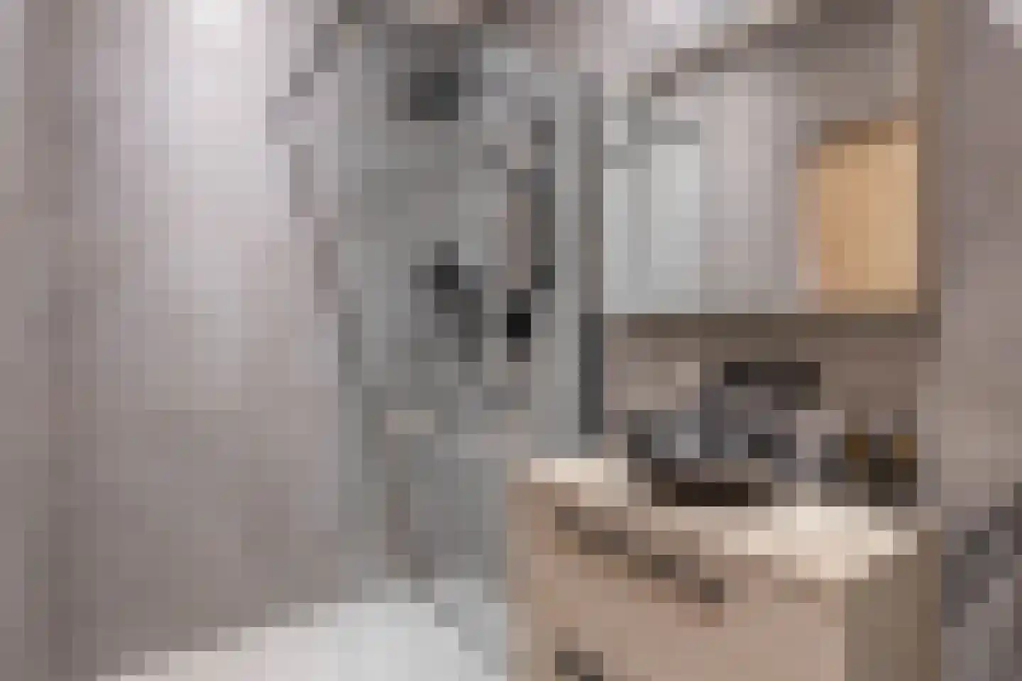 Rogier van Otterloostraat 5 Berkel en Rodenrijs thumbnail 46