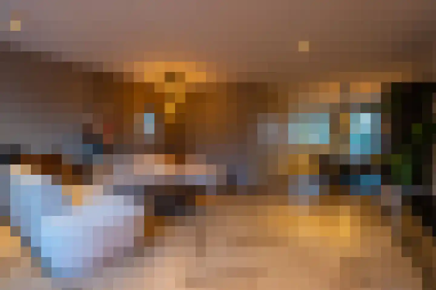 Rogier van Otterloostraat 5 Berkel en Rodenrijs thumbnail 9