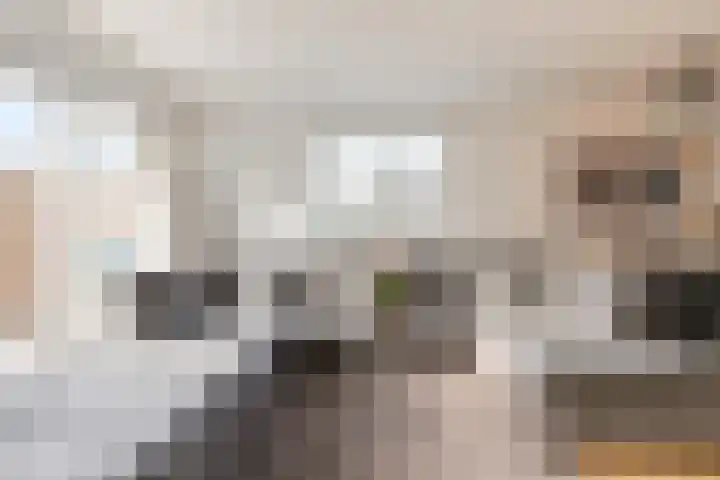 Rogier van Otterloostraat 53 Almere thumbnail 13