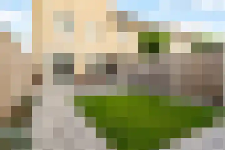 Rogier van Otterloostraat 53 Almere thumbnail 47