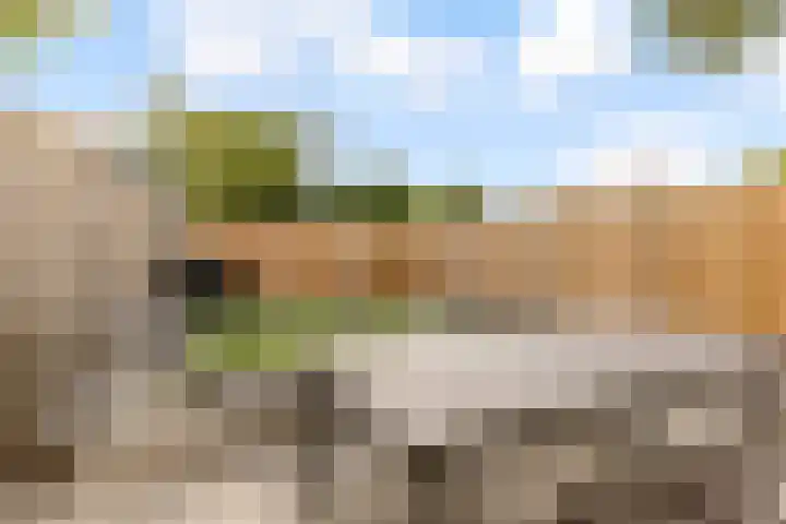 Rogier van Otterloostraat 53 Almere thumbnail 48