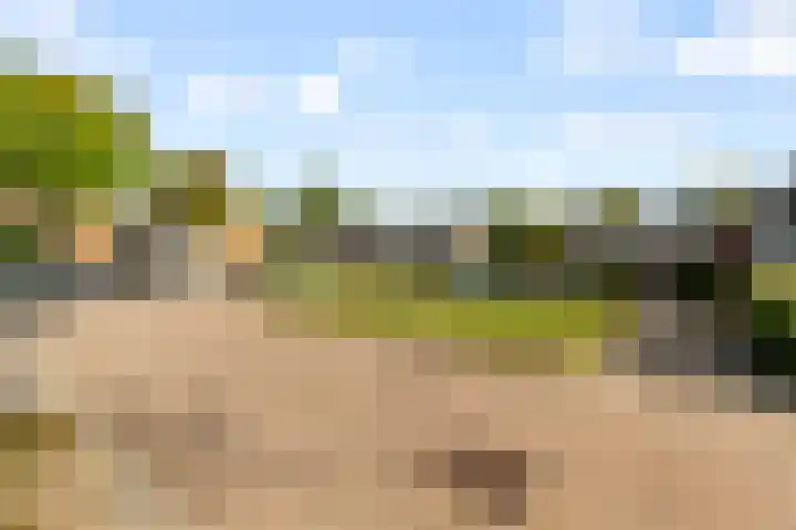 Rogier van Otterloostraat 53 Almere thumbnail 62
