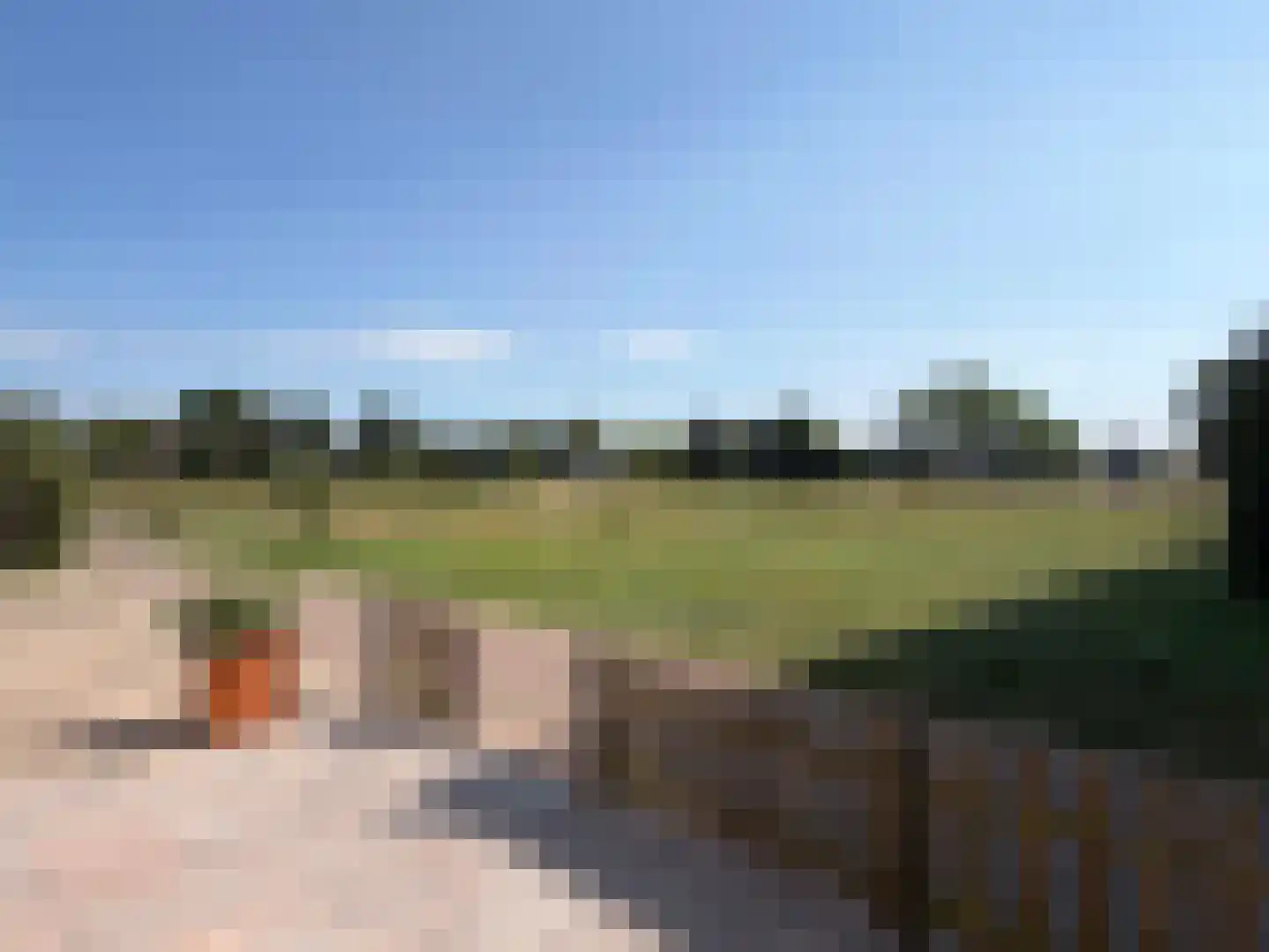 Rogier vd Weijdenstr 21 Coevorden thumbnail 13