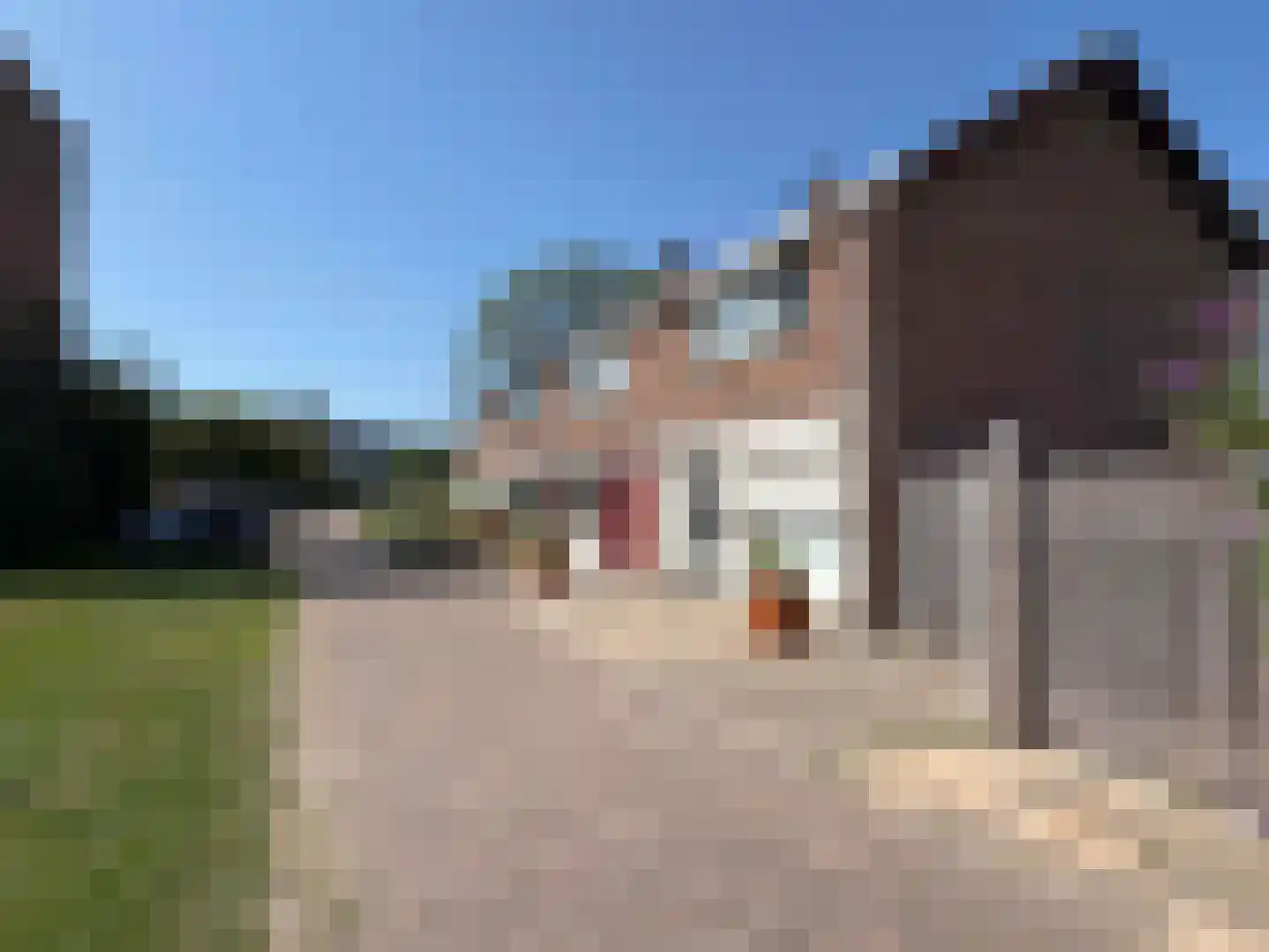 Rogier vd Weijdenstr 21 Coevorden thumbnail 15