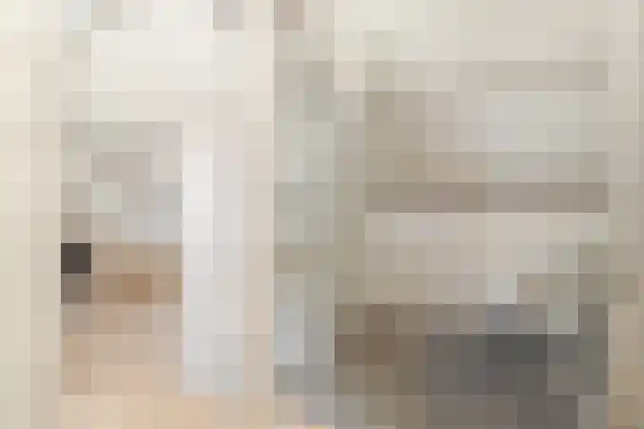 Rogneurdonk 13 Maastricht thumbnail 17