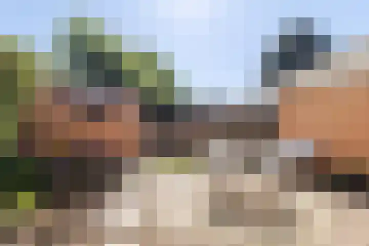 Rogneurdonk 13 Maastricht thumbnail 19