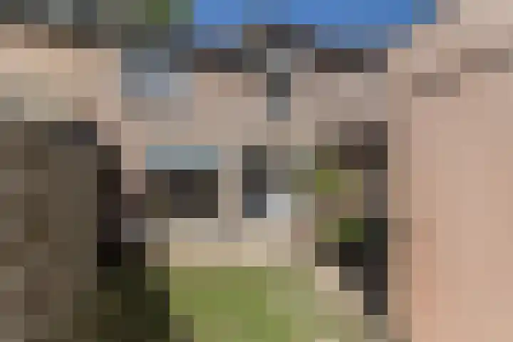 Rogneurdonk 13 Maastricht thumbnail 22