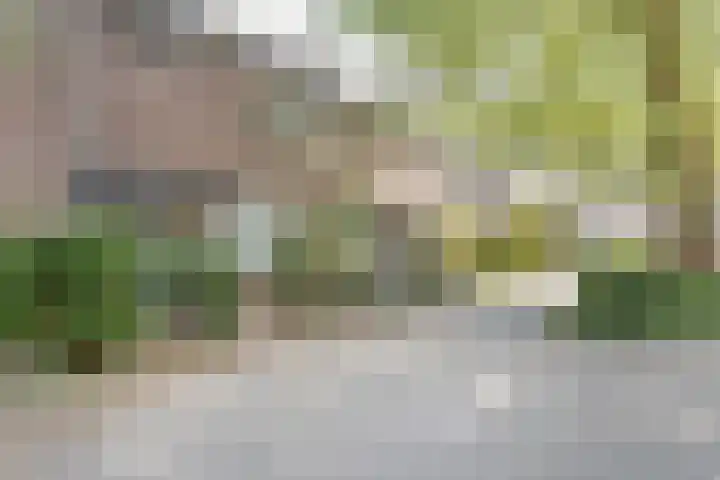 Rogneurdonk 13 Maastricht thumbnail 27