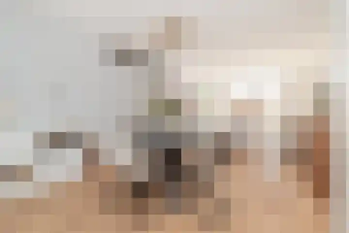 Rogneurdonk 13 Maastricht thumbnail 4