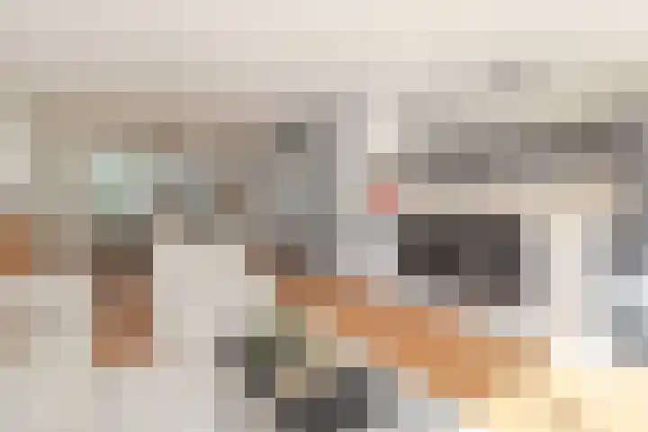 Rogneurdonk 13 Maastricht thumbnail 5