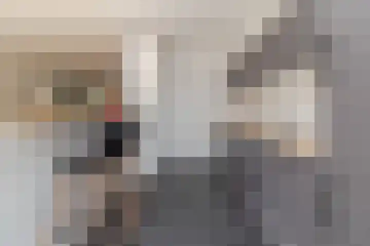 Rogneurdonk 13 Maastricht thumbnail 6