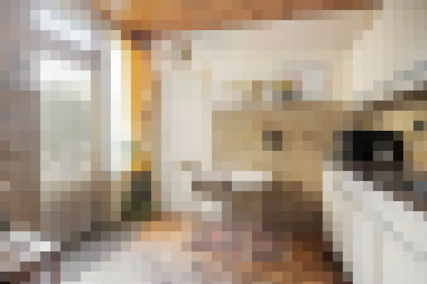 Rogneurdonk 2 Maastricht thumbnail 14