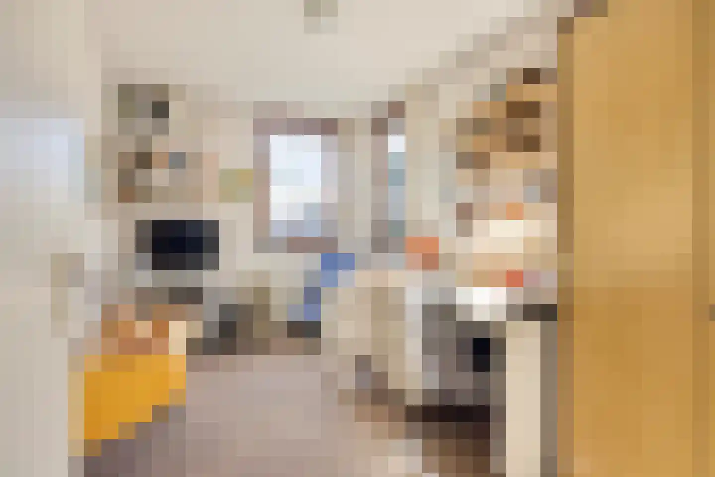 Rogneurdonk 2 Maastricht thumbnail 21