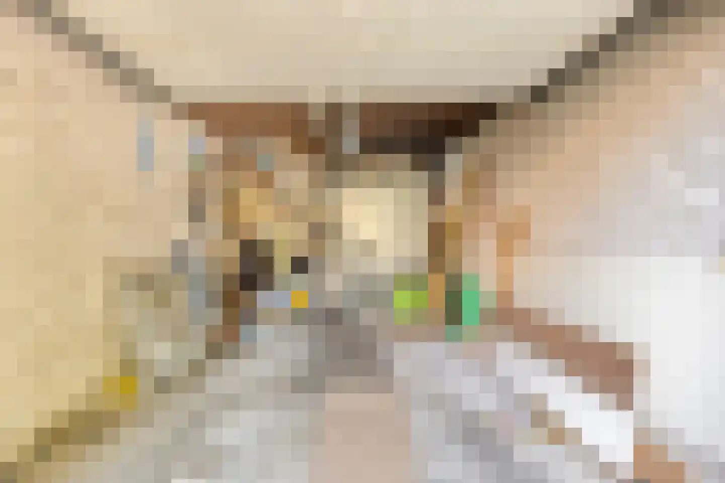 Rogneurdonk 2 Maastricht thumbnail 24