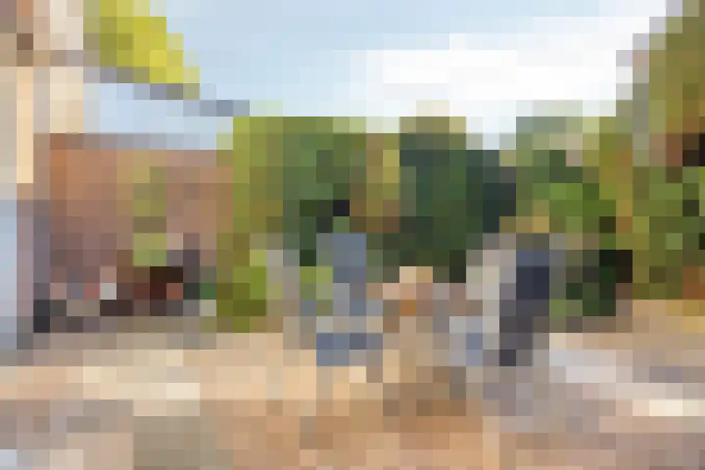 Rogneurdonk 2 Maastricht thumbnail 25