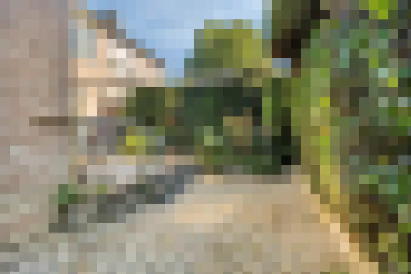 Rogneurdonk 2 Maastricht thumbnail 26