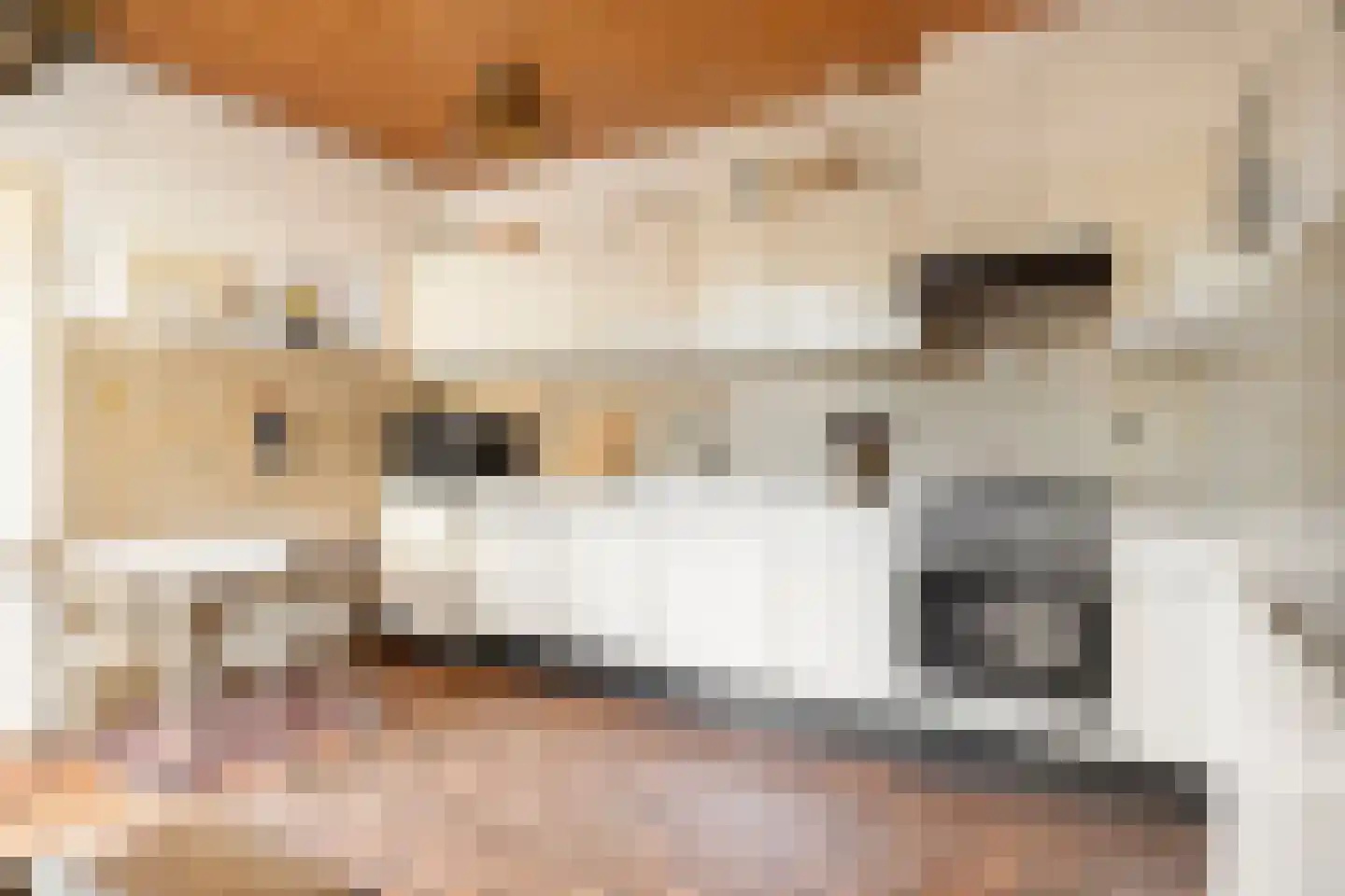 Rogneurdonk 2 Maastricht thumbnail 4