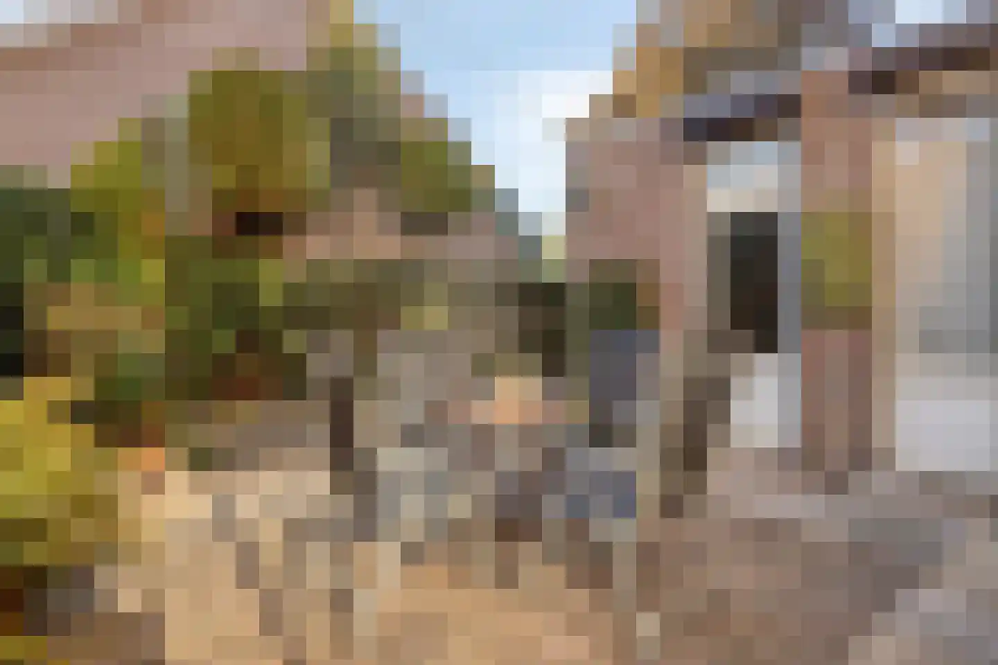 Rogneurdonk 2 Maastricht thumbnail 5