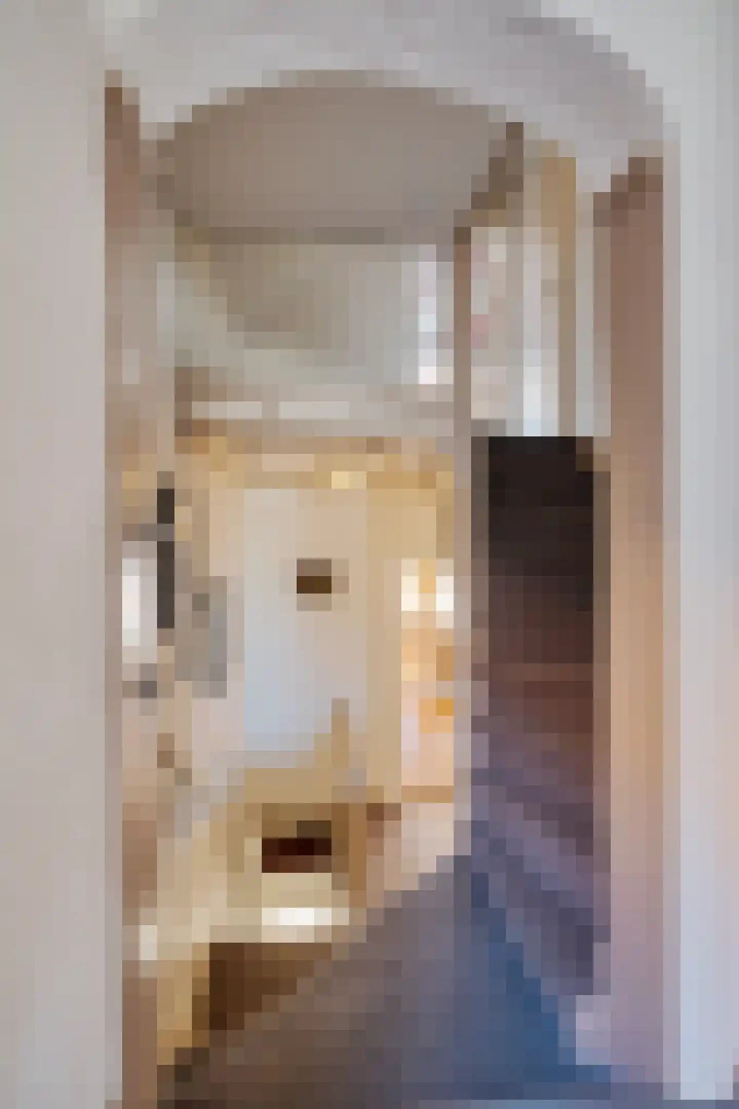 Rogstraat 18 Grave thumbnail 39