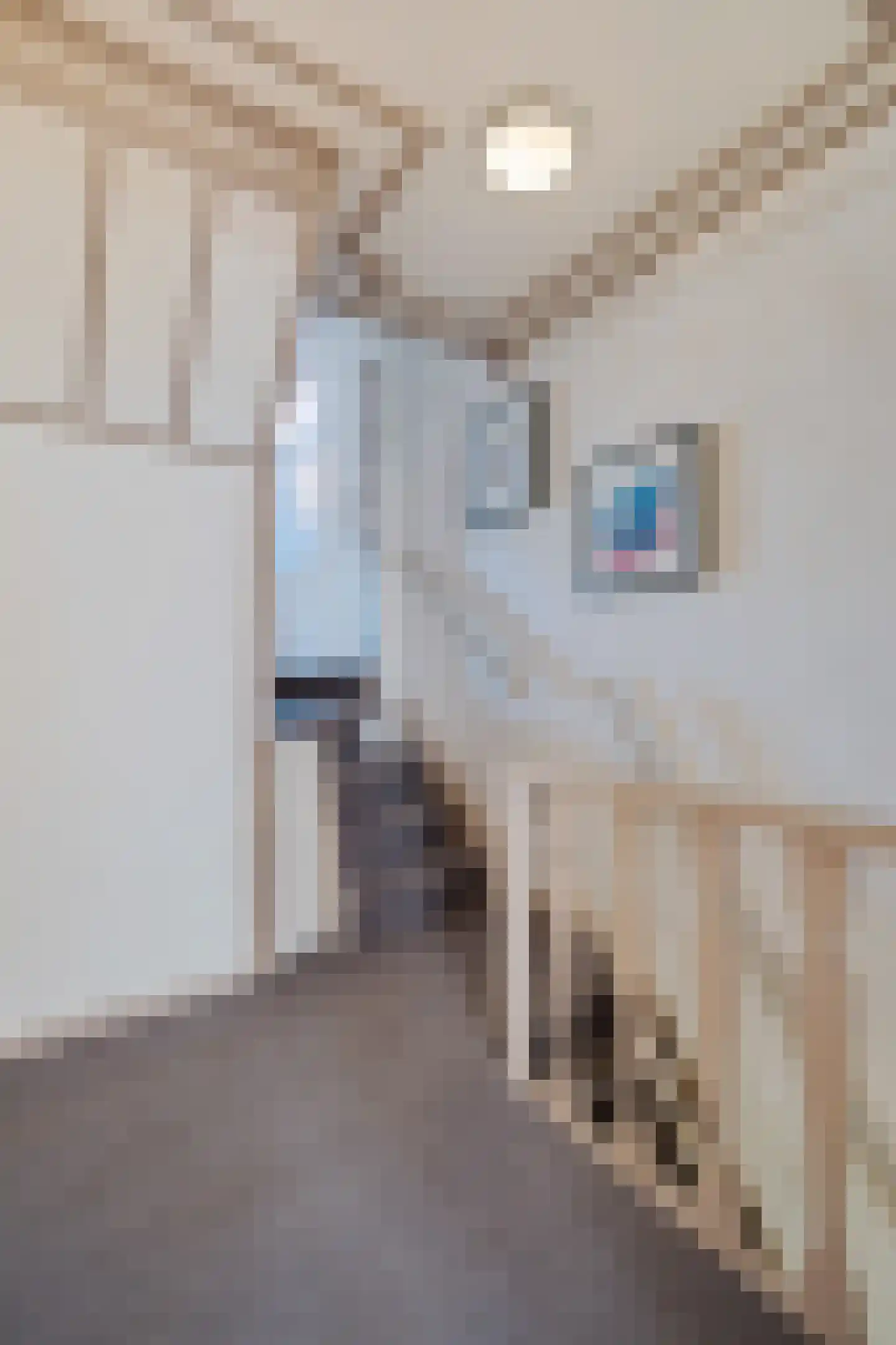 Rogstraat 18 Grave thumbnail 46