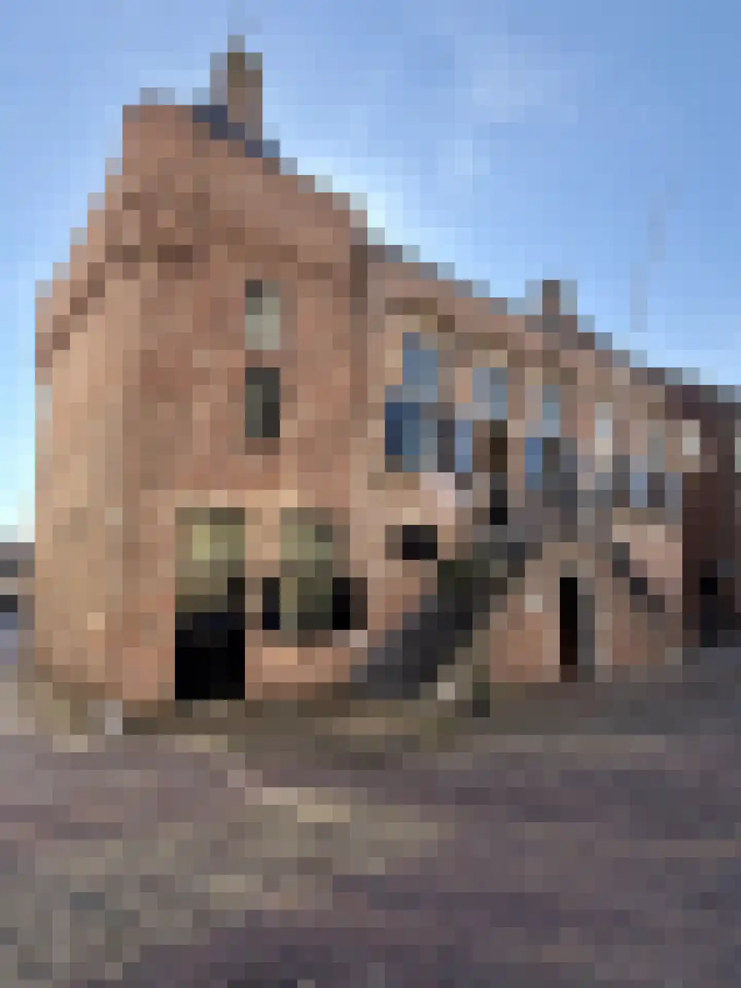 Rogstraat 18 Grave thumbnail 53