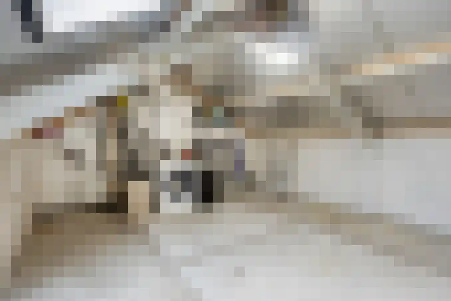 Rogstraat 20 Helmond thumbnail 31