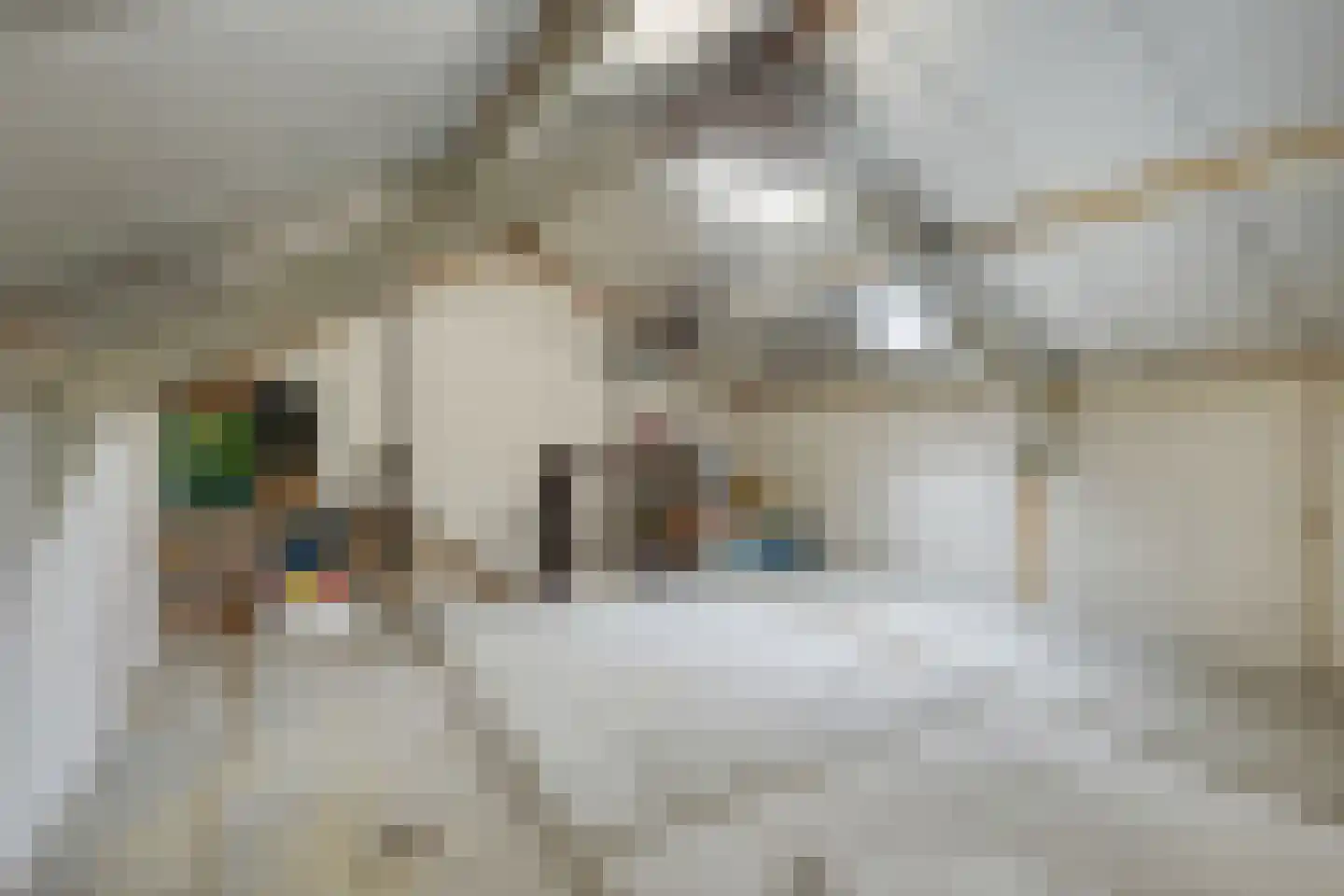 Rogstraat 20 Helmond thumbnail 32
