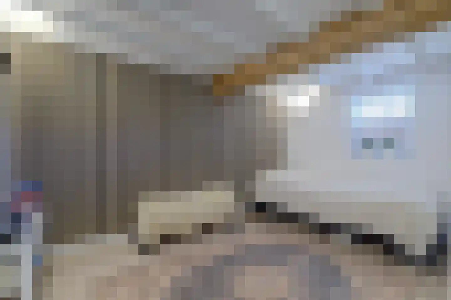 Rogstraat 28 Grave thumbnail 17