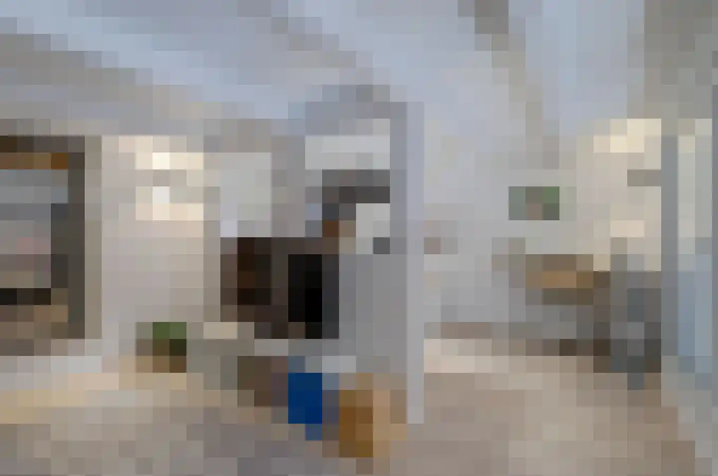 Rogstraat 28 Grave thumbnail 21