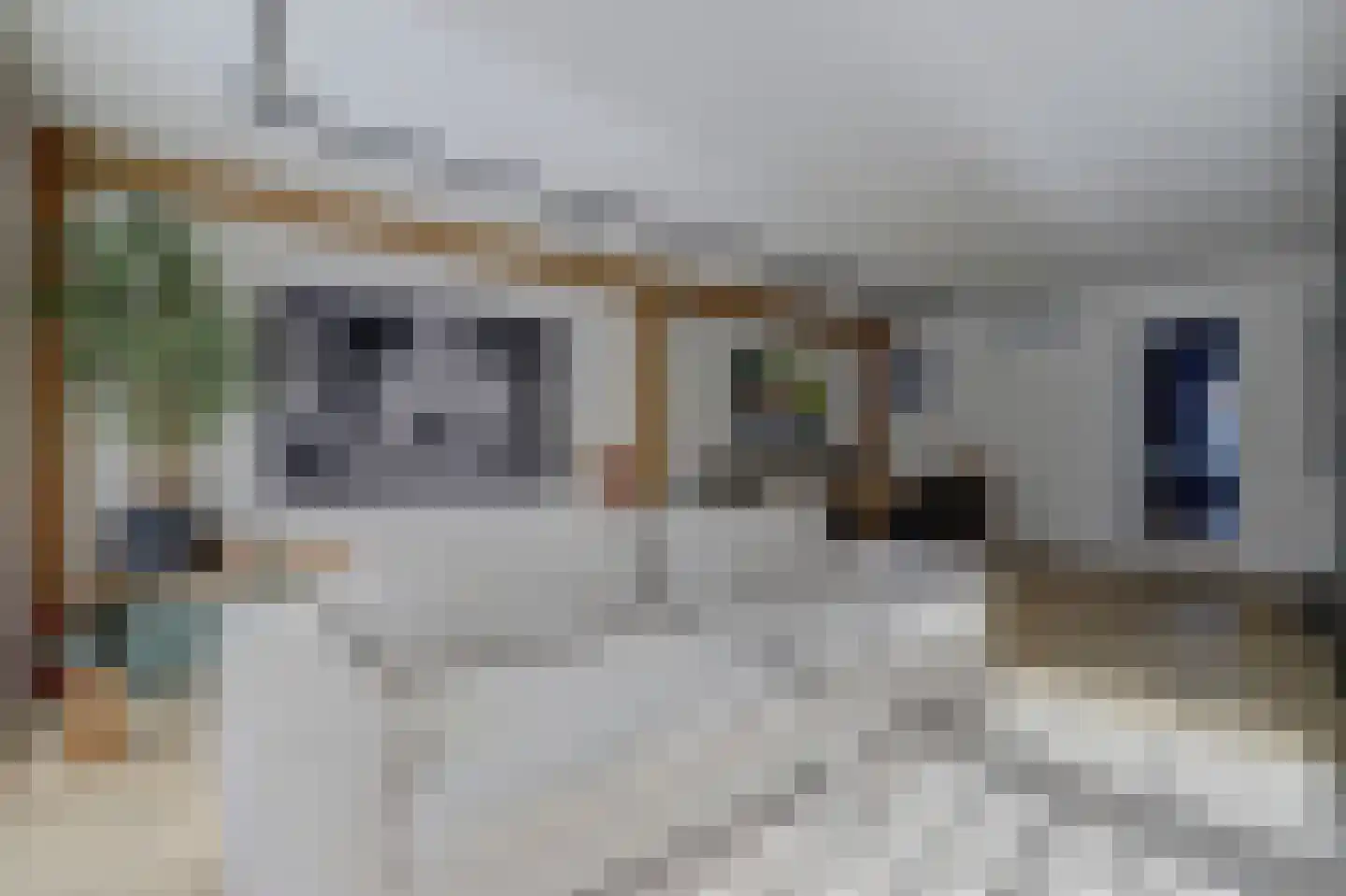 Rogstraat 28 Grave thumbnail 27