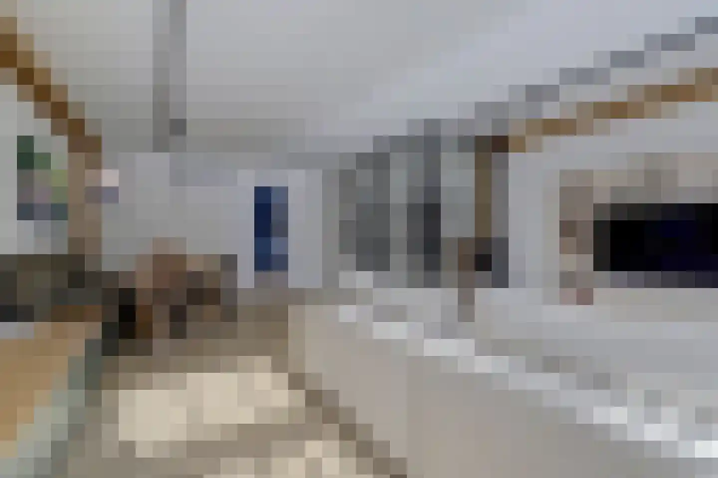 Rogstraat 28 Grave thumbnail 28