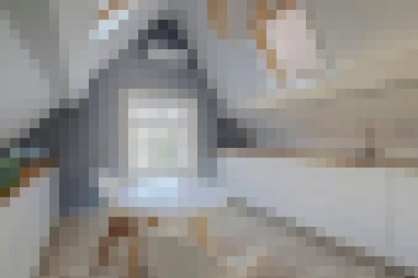 Rogstraat 28 Grave thumbnail 31