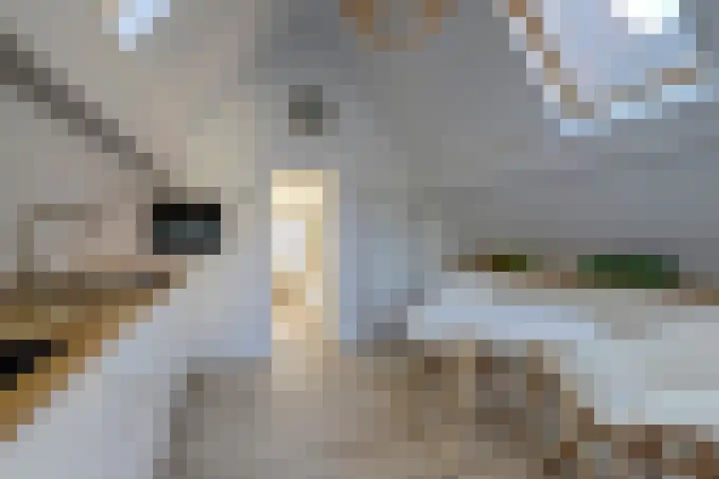 Rogstraat 28 Grave thumbnail 33