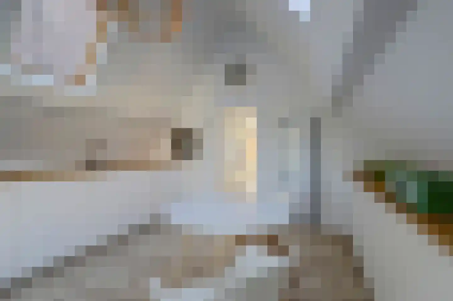 Rogstraat 28 Grave thumbnail 34