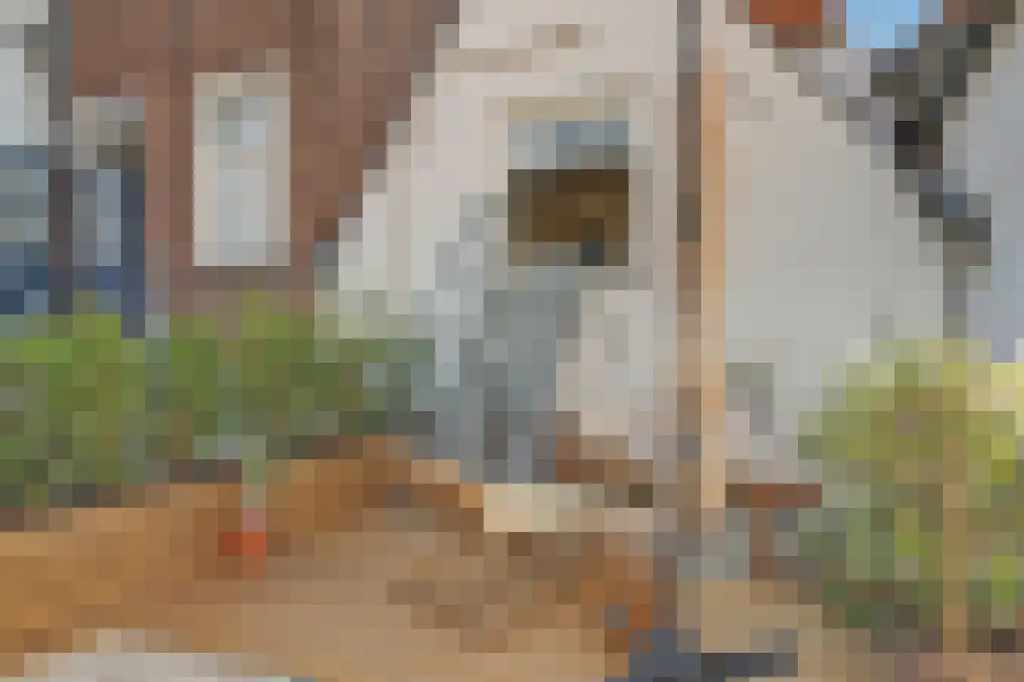 Rogstraat 28 Grave thumbnail 51