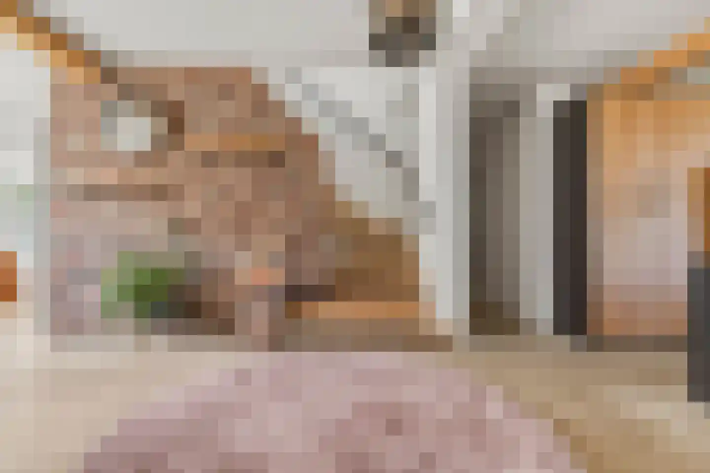 Rogstraat 34 Herpen thumbnail 17