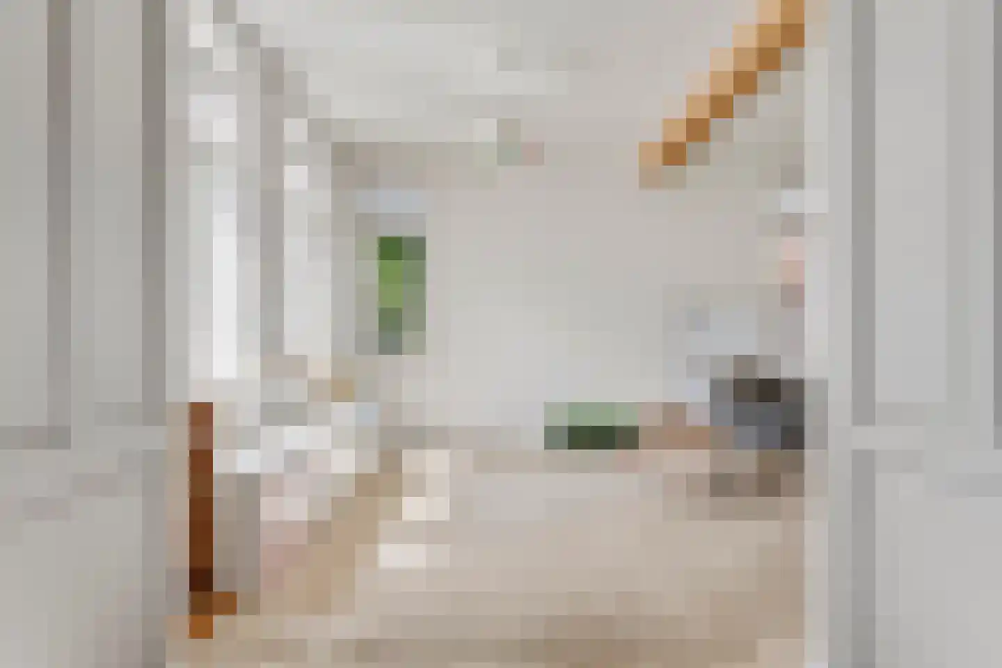 Rogstraat 34 Herpen thumbnail 22