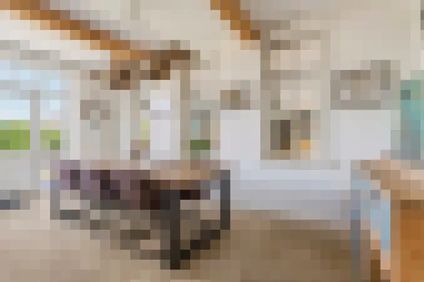 Rogstraat 34 Herpen thumbnail 29