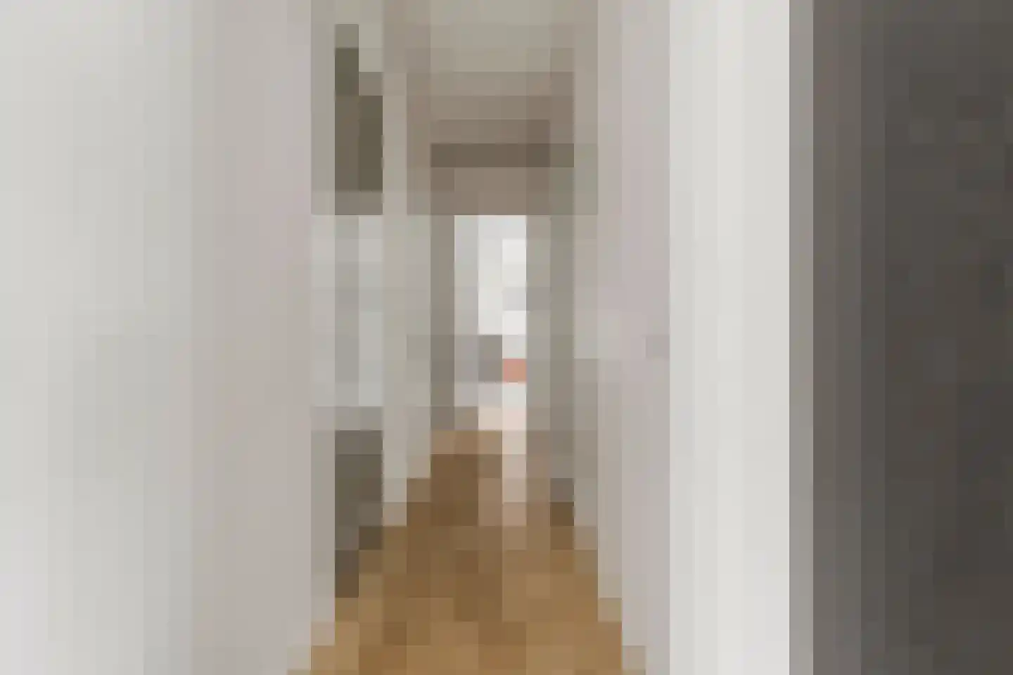 Rogstraat 34 Herpen thumbnail 31