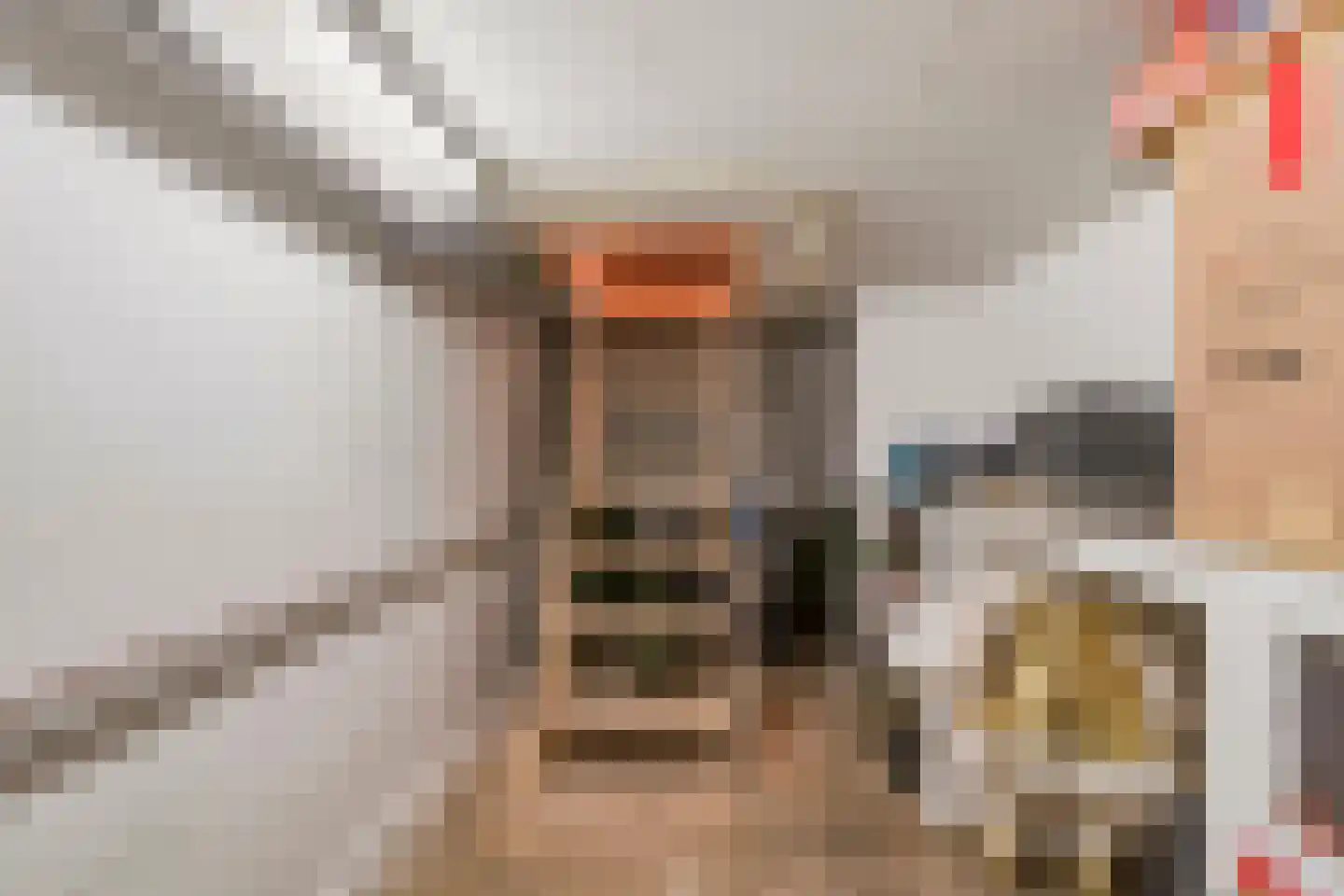 Rogstraat 34 Herpen thumbnail 32