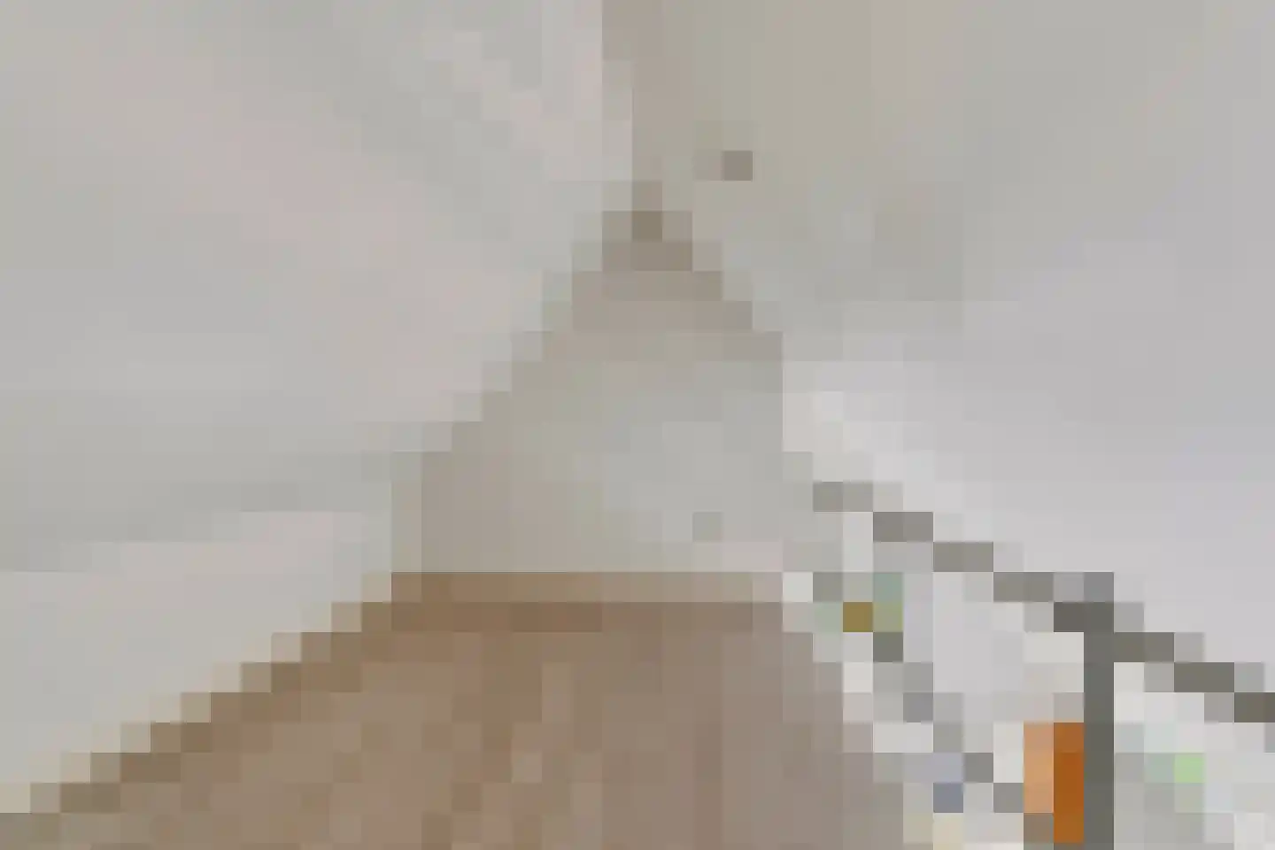 Rogstraat 34 Herpen thumbnail 43