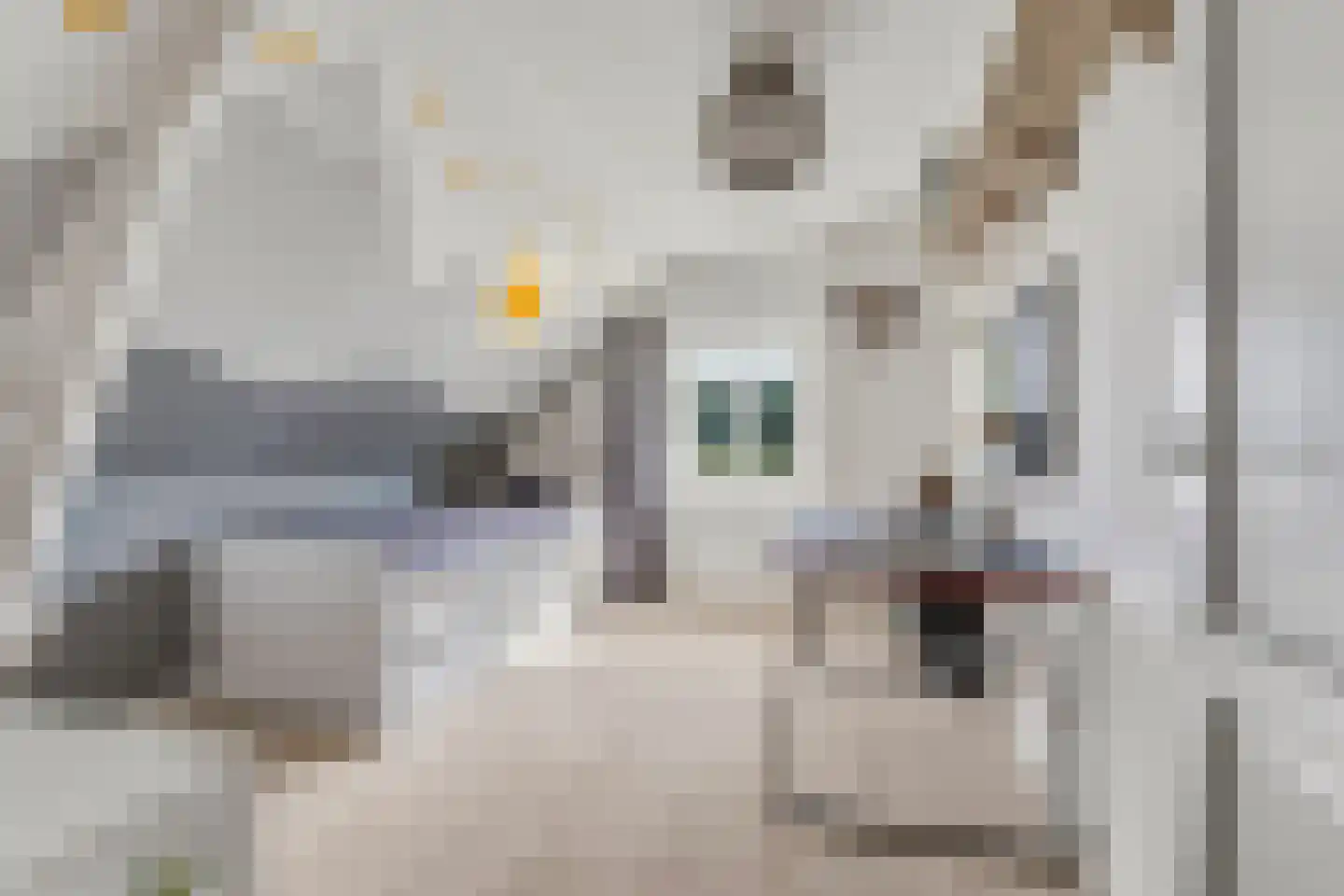 Rogstraat 34 Herpen thumbnail 45
