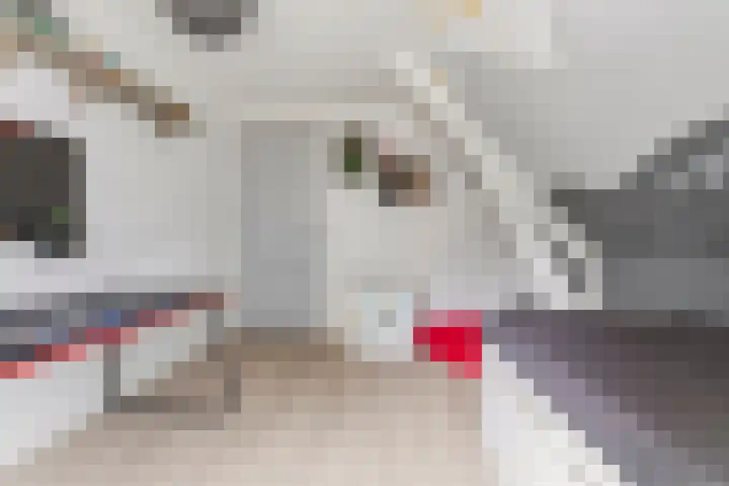 Rogstraat 34 Herpen thumbnail 46
