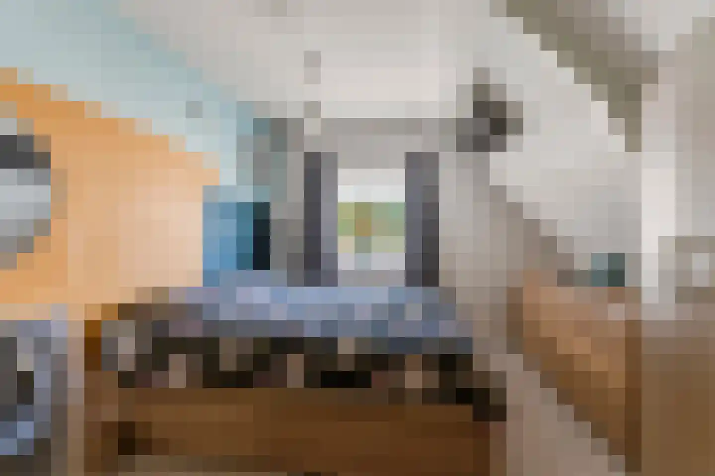 Rogstraat 34 Herpen thumbnail 48