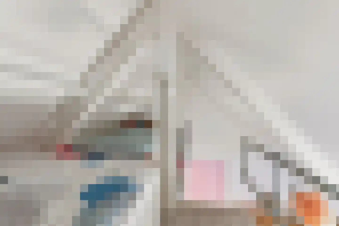 Rogstraat 34 Herpen thumbnail 54
