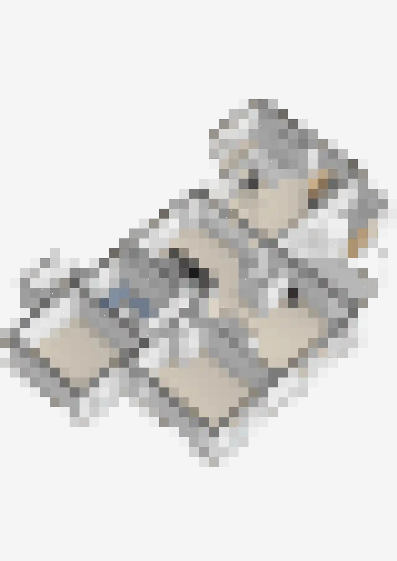 Rogstraat 34 Herpen thumbnail 83