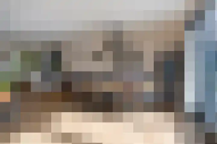 Rogstraat 37 Herpen thumbnail 11