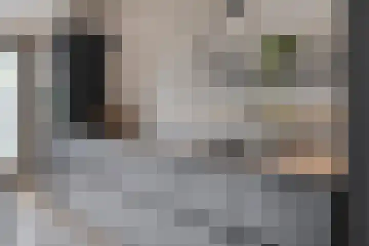 Rogstraat 37 Herpen thumbnail 16