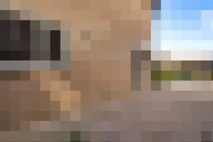 Rogstraat 37 Herpen foto 2