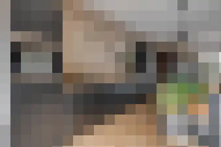 Rogstraat 37 Herpen thumbnail 4
